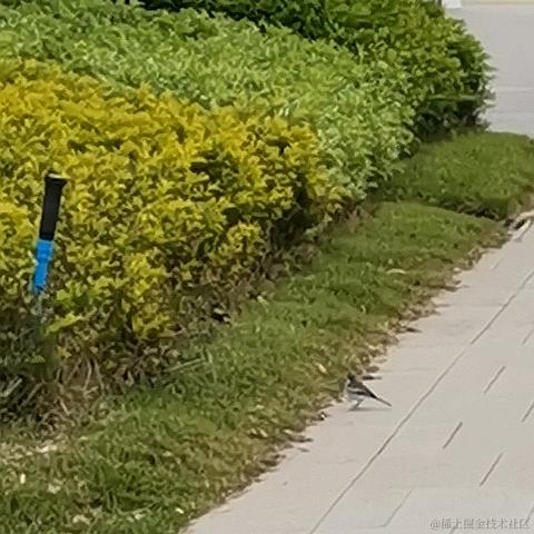 一般通过修伞er于2022-12-13 20:01发布的图片