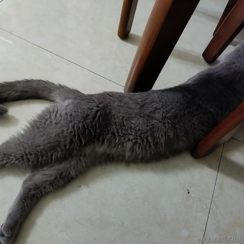 檩麓于2023-05-10 23:52发布的图片