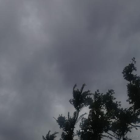 瞎眼盲僧救死扶伤于2022-11-25 08:06发布的图片