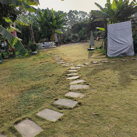 北纬91于2023-11-17 12:32发布的图片