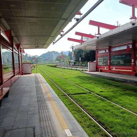 绿码蛋糕于2022-11-25 11:37发布的图片