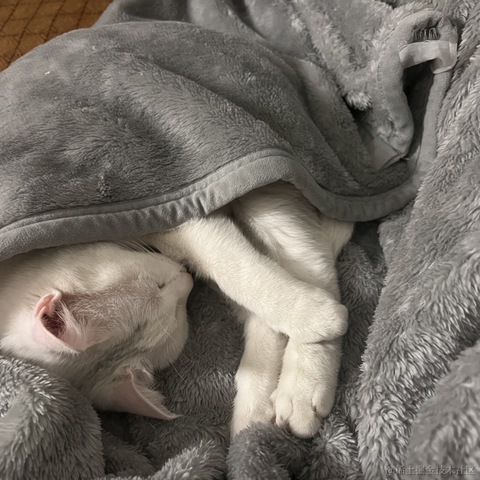 祝六一于2022-12-13 16:24发布的图片