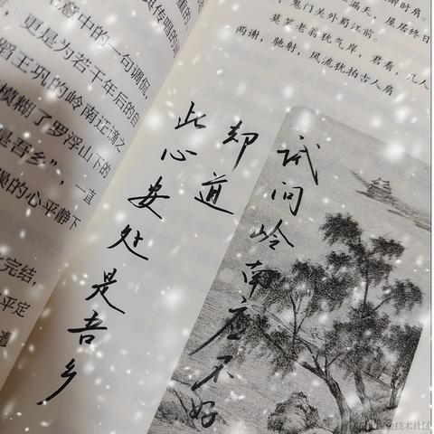 Sarah_于2023-12-28 10:37发布的图片