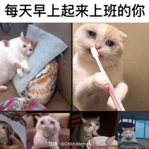 皮皮皮皮皮喵于2021-08-30 10:00发布的图片