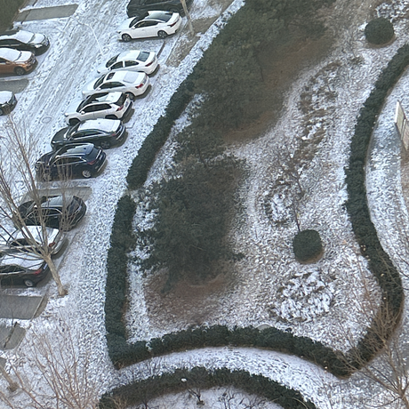 我是爸爸于2023-01-23 15:58发布的图片