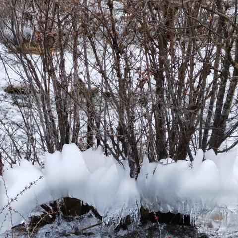 诸葛玥玥于2021-09-15 17:48发布的图片