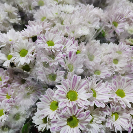 超爱吃芒果于2022-05-22 10:07发布的图片