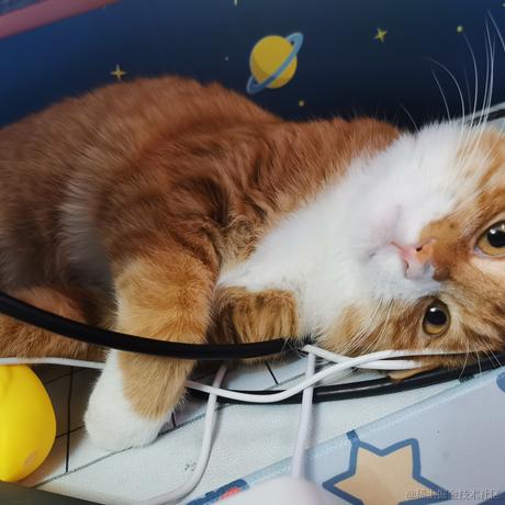 柒弎于2022-11-25 20:45发布的图片