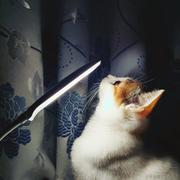 柑橘味的可乐的个人资料头像