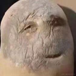 乃琳的tom于2022-11-18 11:10发布的图片