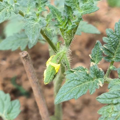 Zaccc于2023-04-18 23:20发布的图片