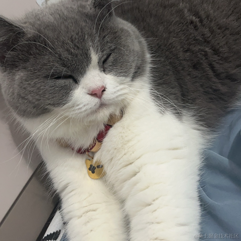 单纯_稀饭于2024-06-10 09:38发布的图片