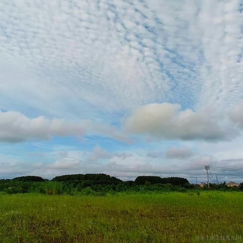 渡人先渡己于2024-06-24 09:48发布的图片