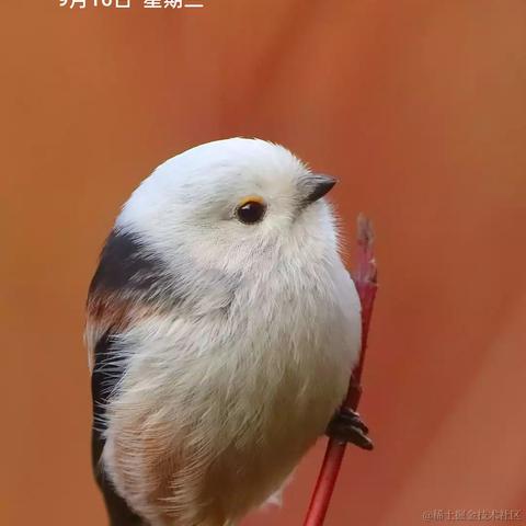 愛萝莉愛掘金于2020-09-16 19:26发布的图片