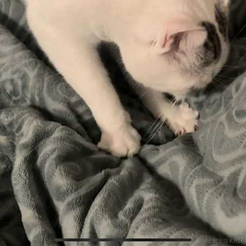 阿青青于2023-01-13 20:55发布的图片