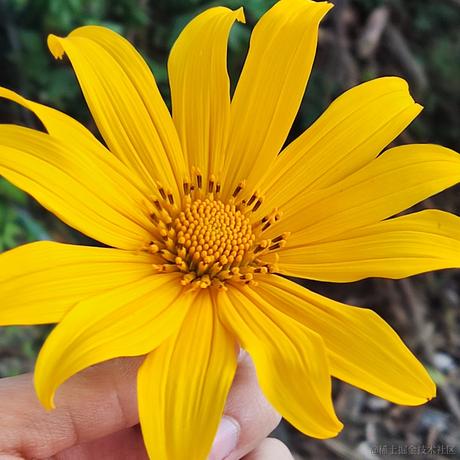 阿材于2022-04-03 22:28发布的图片