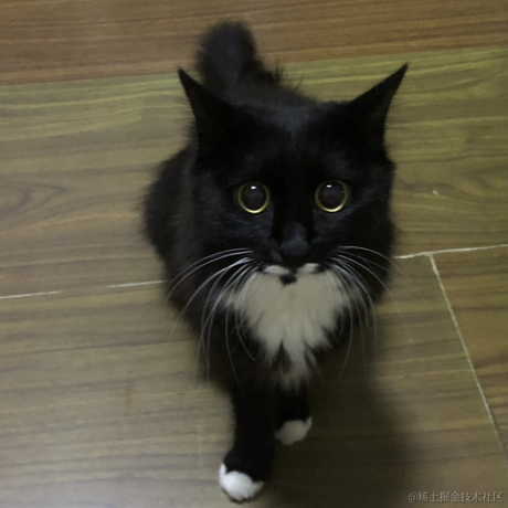 AilsaGao于2022-11-18 09:42发布的图片