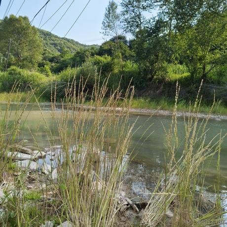 余暇窃欢于2023-07-29 21:08发布的图片