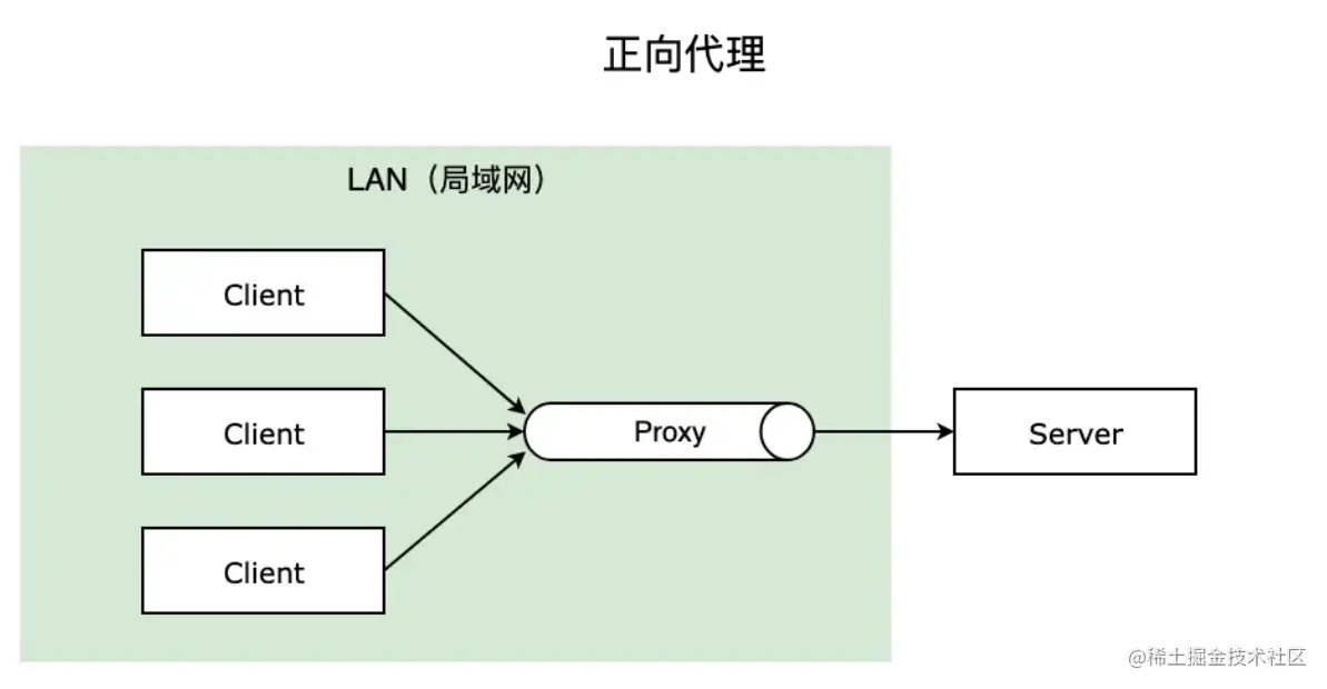 image-20220708005911074.png