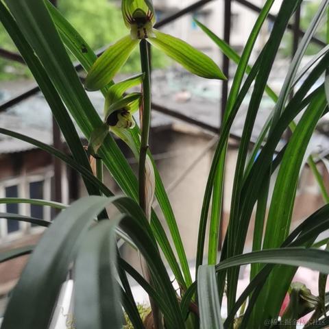 已注销于2022-10-28 03:04发布的图片