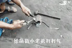 55120655b319ebc49fe4c5e19526cffc1f1716c8.gif