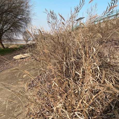 新垣结衣老公本人于2023-01-19 11:58发布的图片