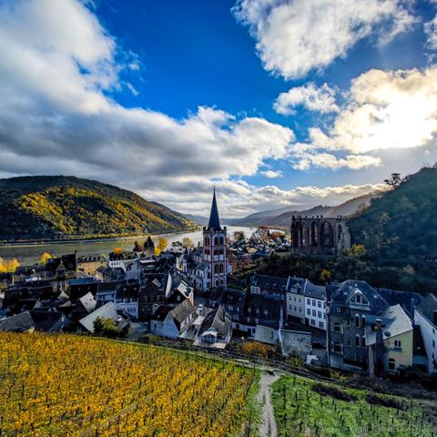 小栗帽永远的神于2022-11-26 07:29发布的图片