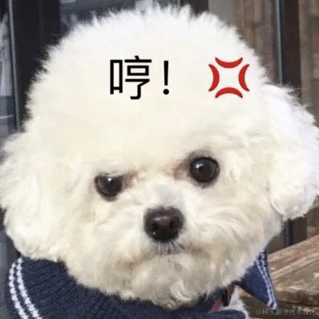 Li_Cat001于2021-03-29 20:23发布的图片