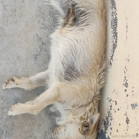 努力集中认真于2022-06-09 20:35发布的图片