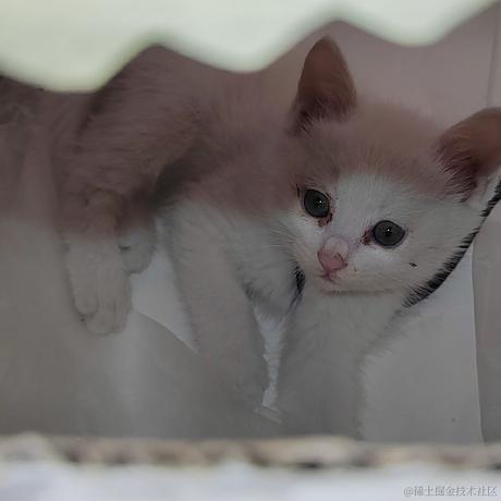 王木拉于2022-12-18 08:12发布的图片