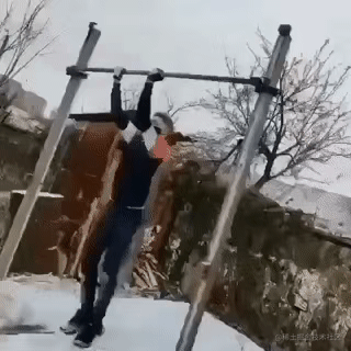 262.GIF