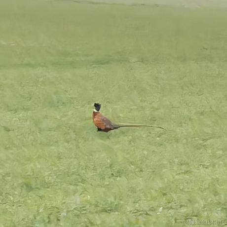 红黄蓝白黑于2022-12-12 22:56发布的图片