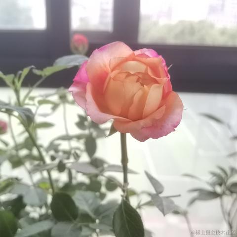 牛肉烧板黎于2022-06-02 09:07发布的图片