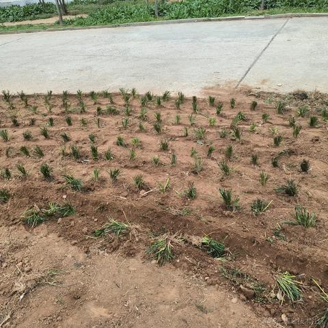 vincookies于2023-04-15 22:19发布的图片