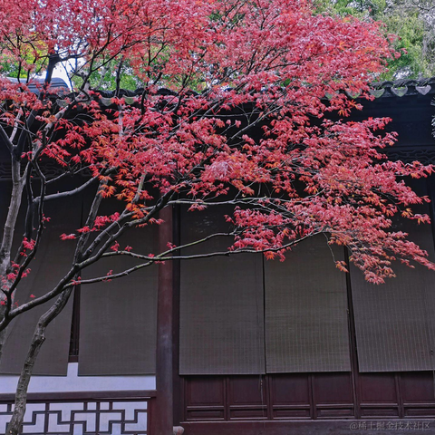 P3rf3ctW0maN于2023-04-13 19:42发布的图片