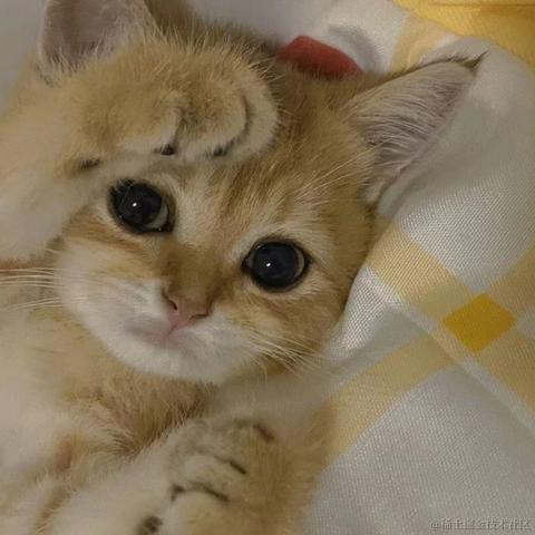 佳佳吖于2023-05-17 11:14发布的图片