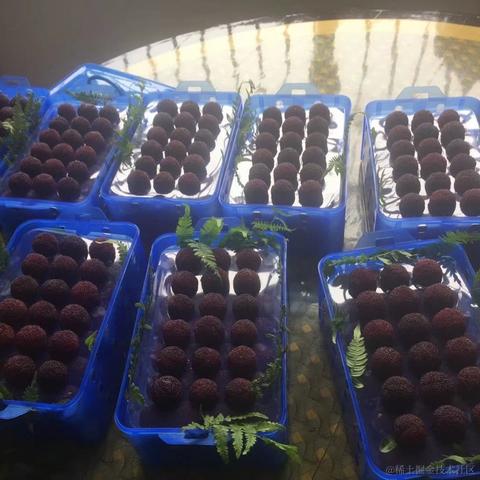 坚果派_坚果于2022-06-11 20:11发布的图片