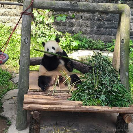 李孑于2023-06-27 23:40发布的图片