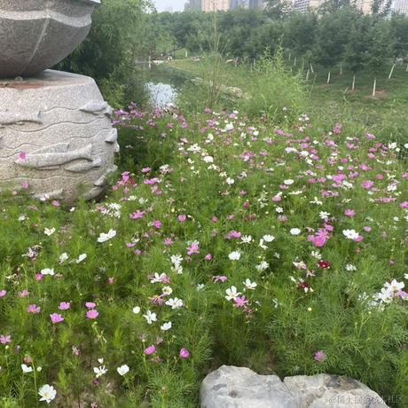 jy007于2023-05-23 23:05发布的图片