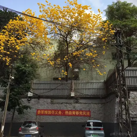 在这儿不行于2022-03-14 14:07发布的图片