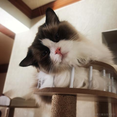 Firmament于2022-12-02 11:16发布的图片