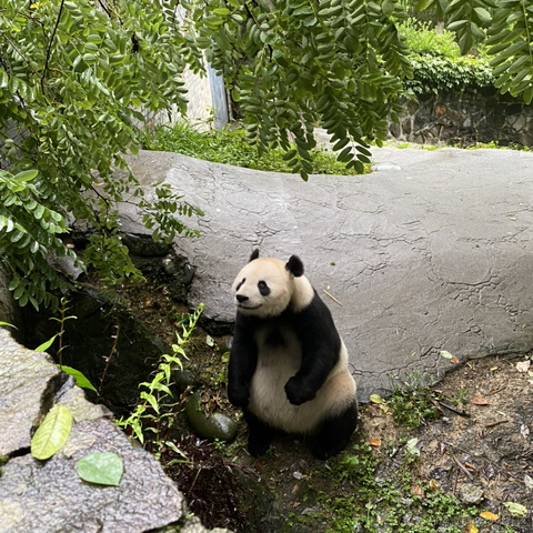 不勉强于2021-06-22 22:19发布的图片
