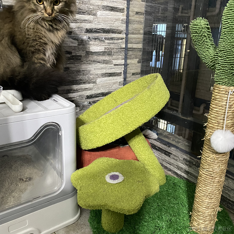 103于2022-04-14 20:27发布的图片