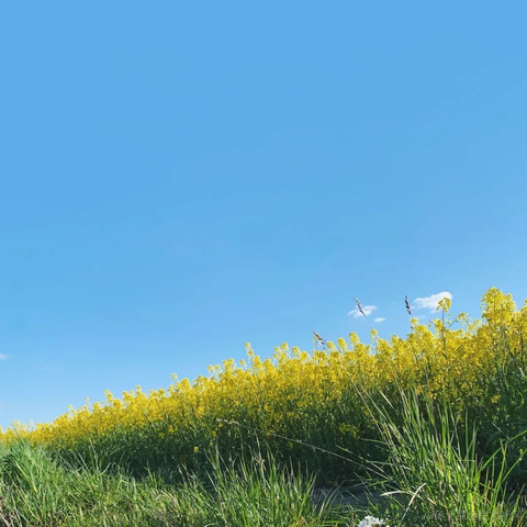 码界西柚于2023-01-18 00:42发布的图片