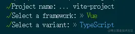 创建vite项目选项.jpg