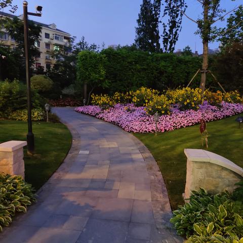 吃鱼徐于2023-06-09 23:25发布的图片