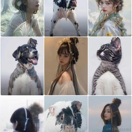林雨一直走于2023-08-16 13:46发布的图片
