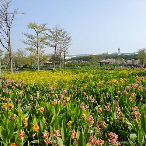 柒号华仔于2023-03-05 14:08发布的图片