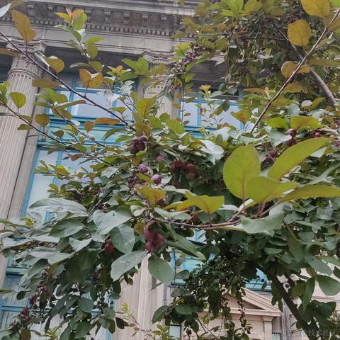 bysking于2023-06-20 08:18发布的图片