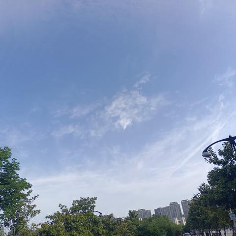 落月染紫于2023-05-16 09:28发布的图片